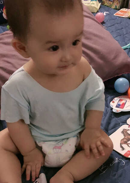 模特-