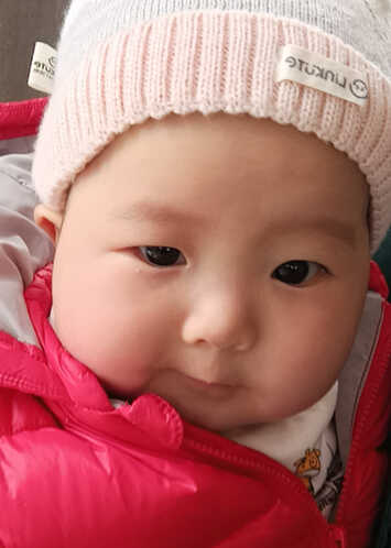 模特-