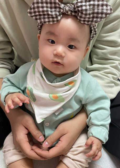 模特-