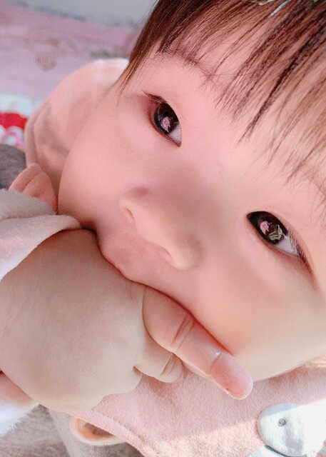 模特-