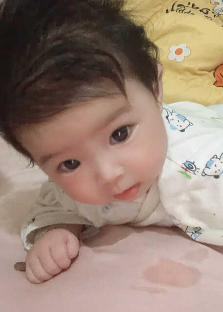 模特-