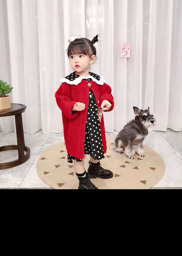 模特-