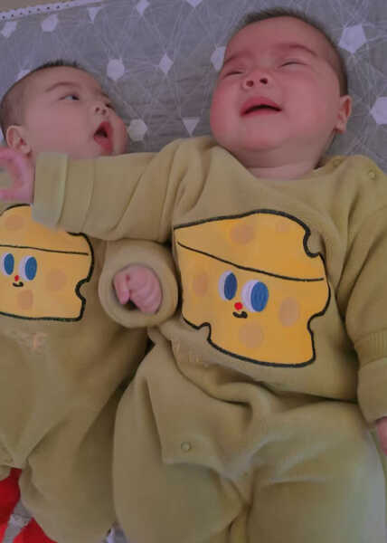 模特-