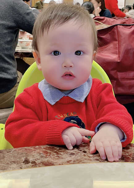 模特-
