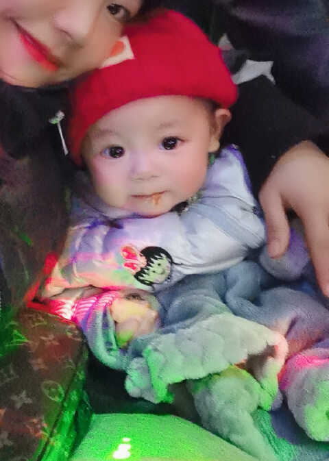 模特-