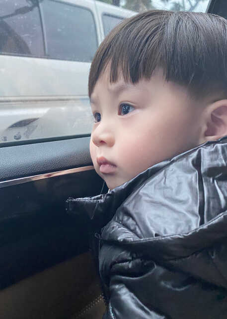 模特-
