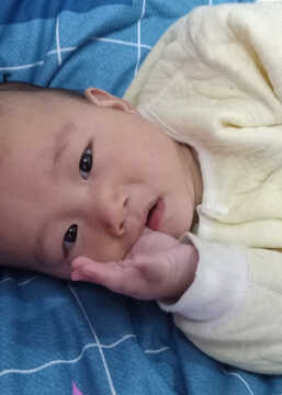 模特-