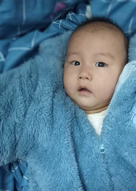 模特-