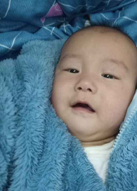 模特-
