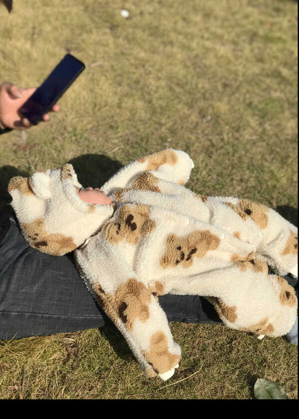 模特-