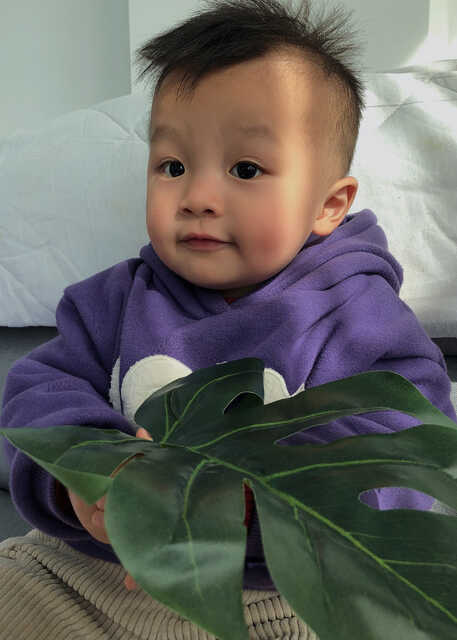 模特-