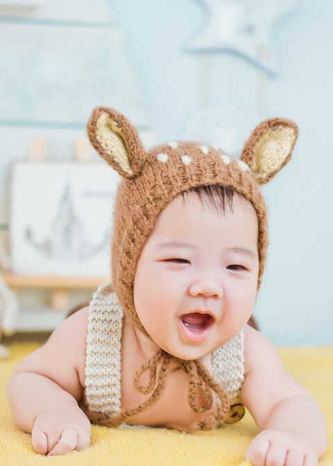 模特-