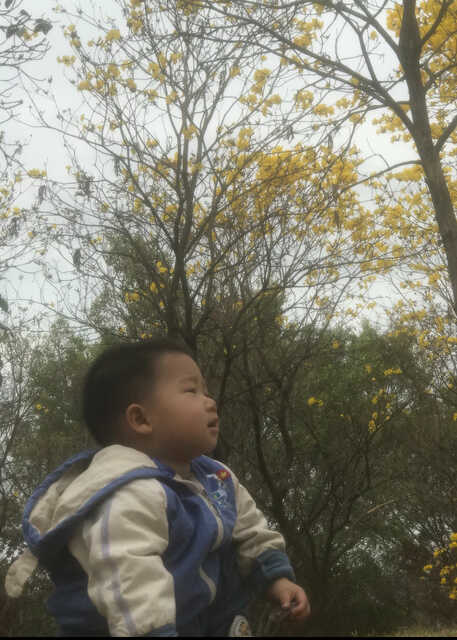 模特-