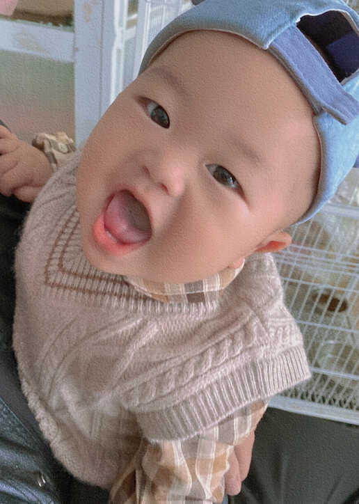 模特-