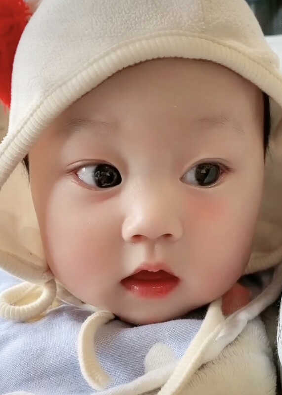 模特-