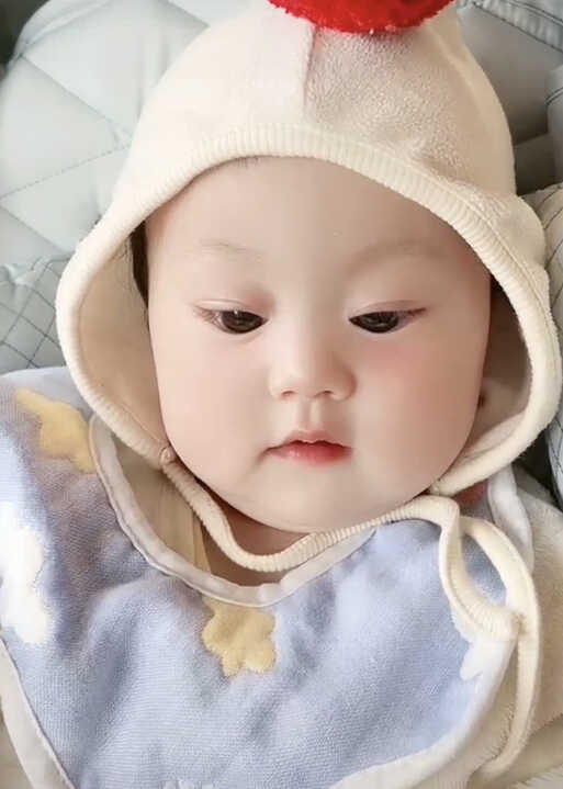 模特-