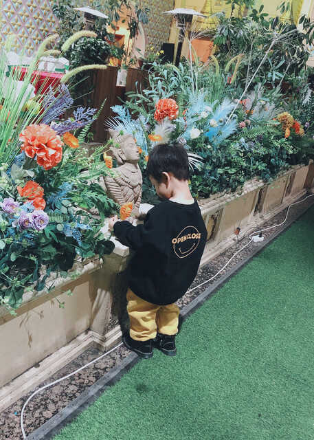 模特-