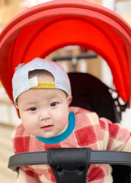 模特-
