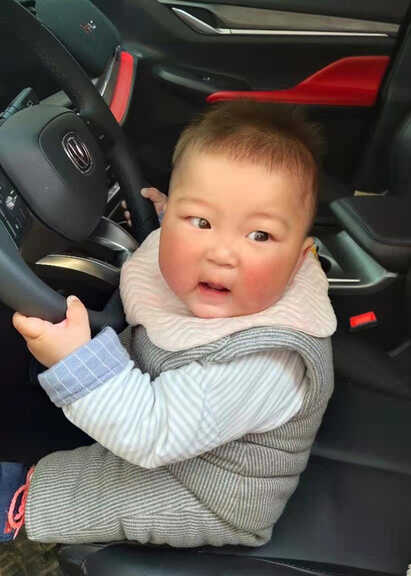 模特-