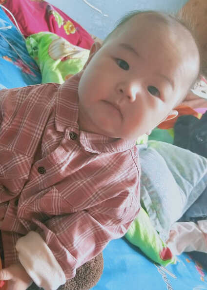 模特-