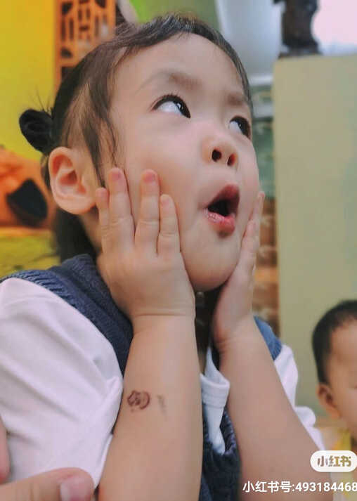 模特-