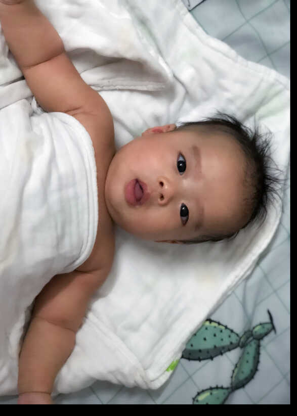 模特-