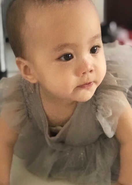 模特-