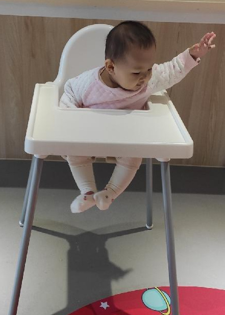 模特-