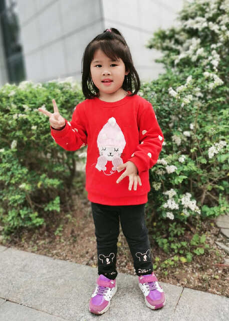 模特-
