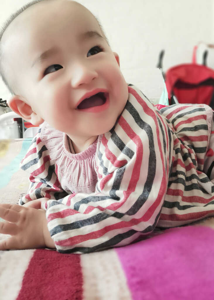 模特-