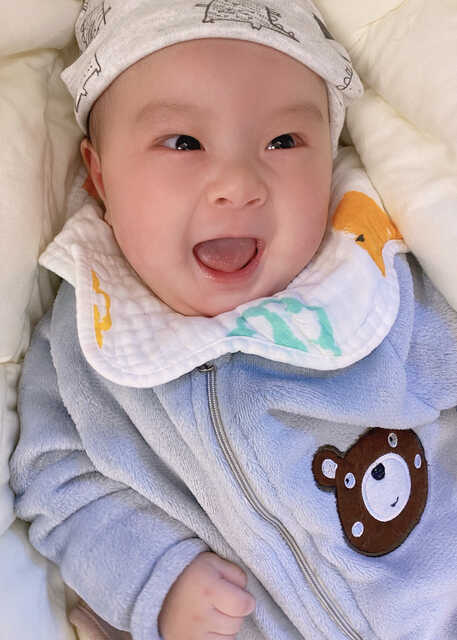 模特-