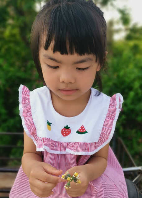 模特-