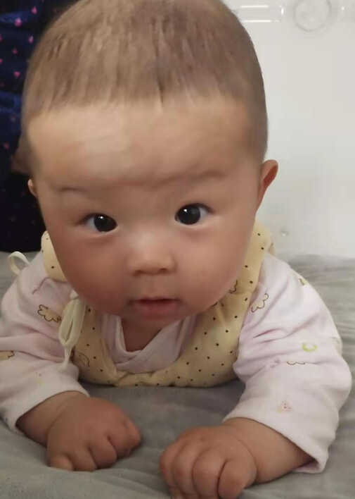 模特-
