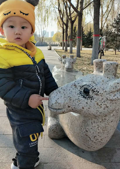 模特-