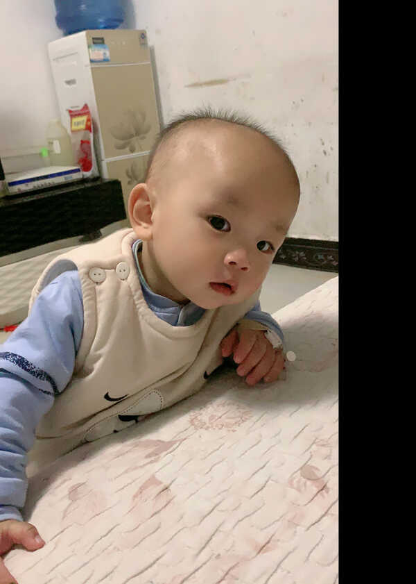 模特-