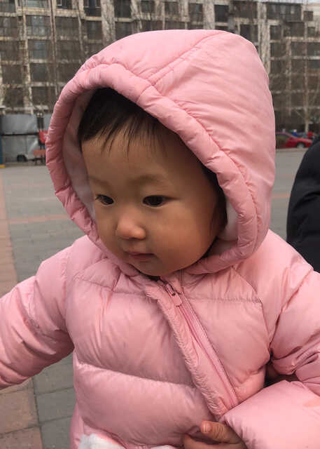 模特-