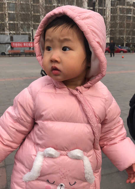 模特-