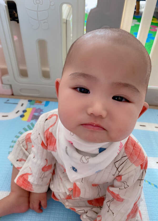 模特-