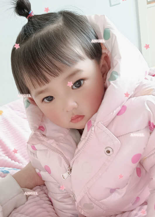 模特-