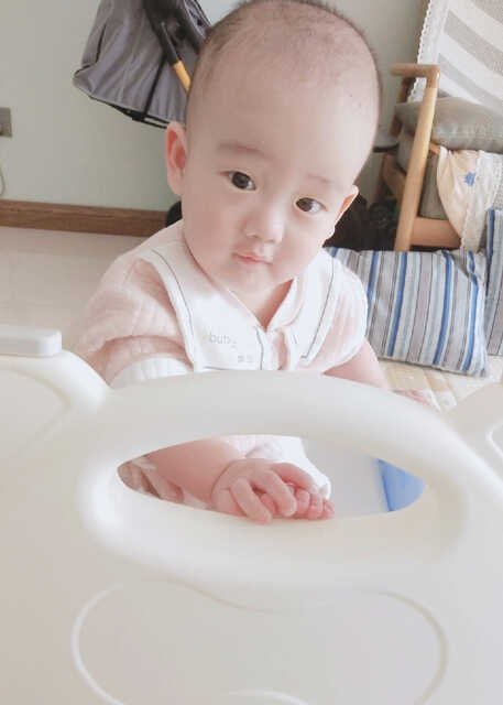 模特-