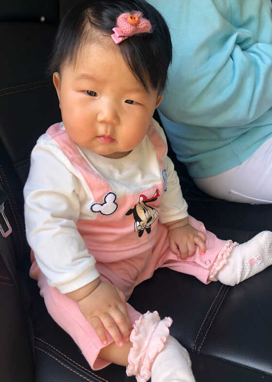 模特-