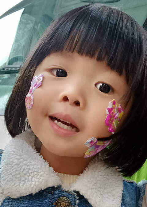 模特-