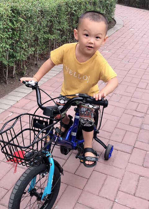 模特-