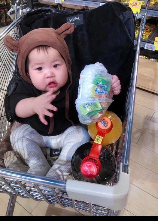 模特-