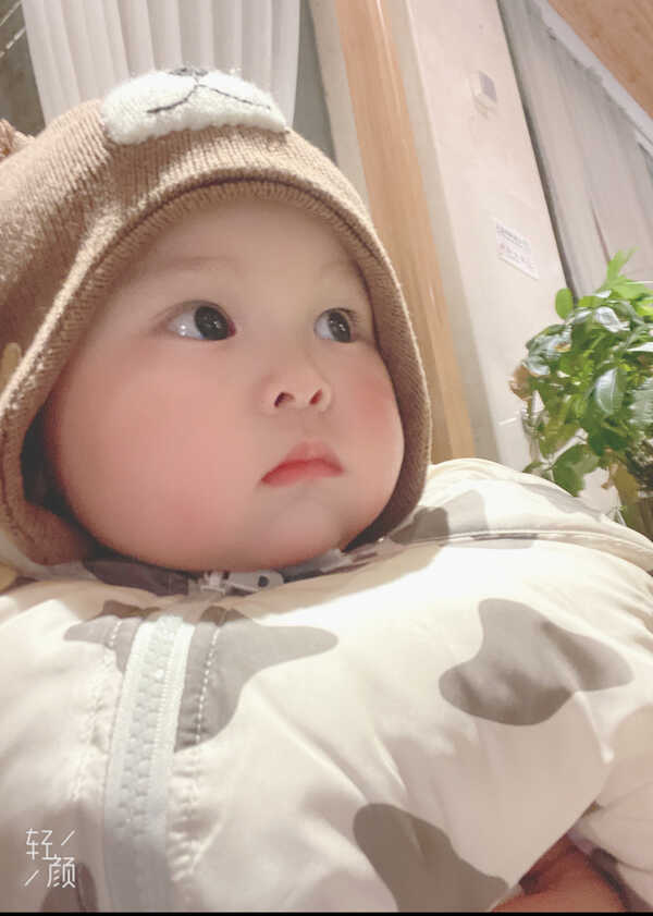模特-