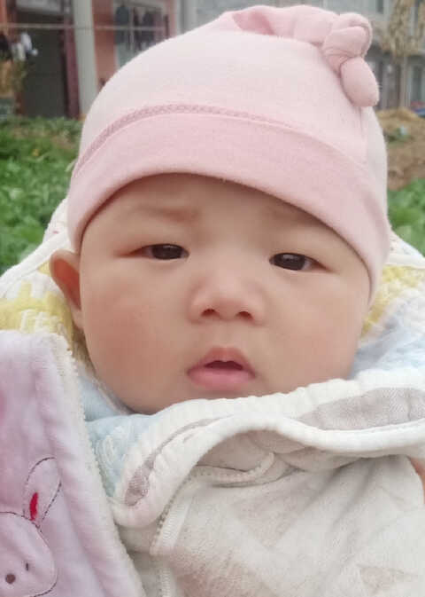 模特-