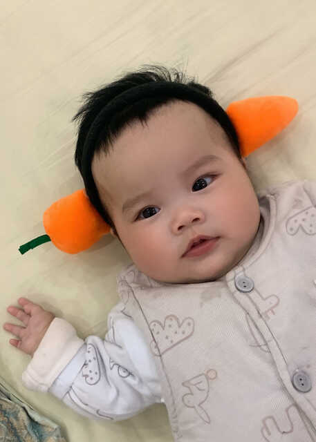 模特-