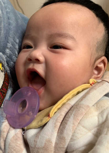模特-