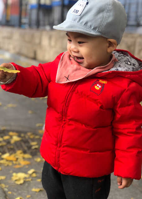 模特-