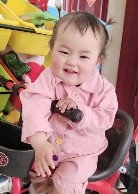 模特-